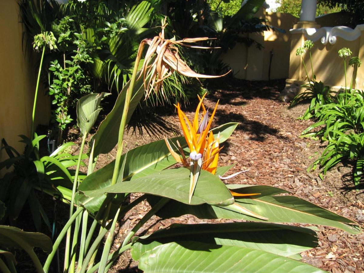 Ashanti Gardens Guest house Cape Town